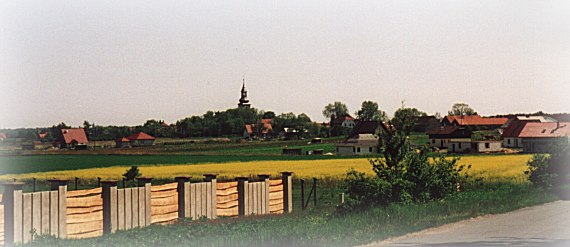 Blick vom Mühlberg auf Wilkszyn / Wilxen im Mai 2002